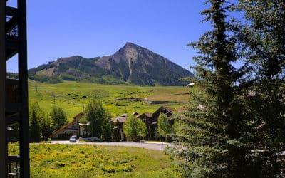 New Listing ~ 400 Gothic Road, Unit 202, Mt. Crested Butte