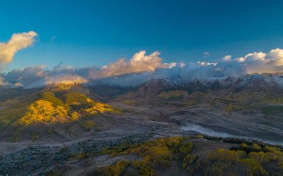 November 2025 Market Update