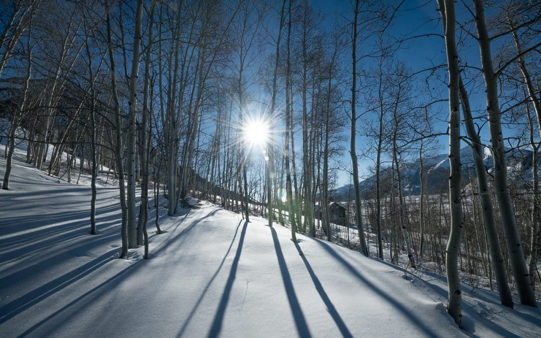 sun peaking through aspen trees in winter - 5 Peakview Drive, Mt. Crested Butte, CO