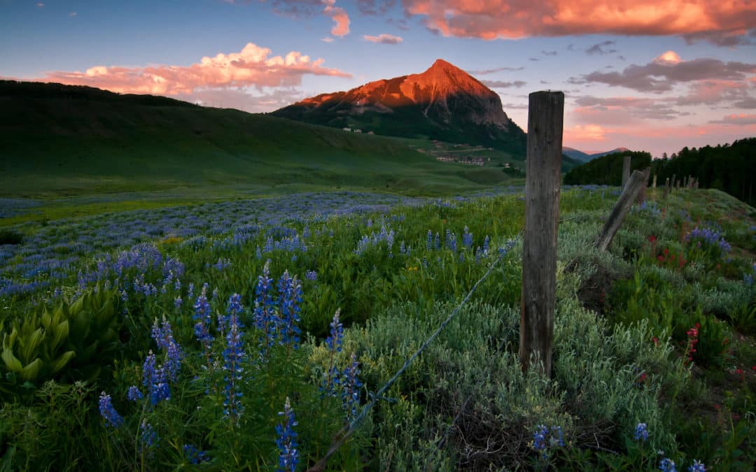 6 Best Places to Find Wildflowers in Colorado - Mt. Crested Butte at alpenglow