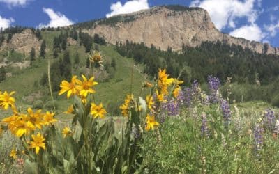 The End Of The Longest-Running Warming Experiment