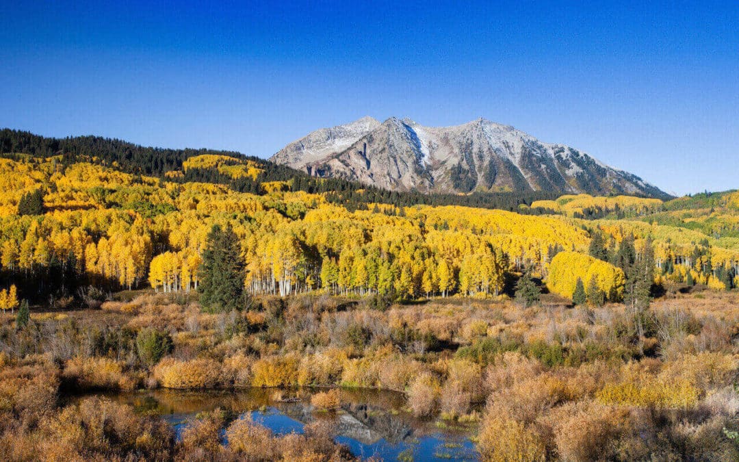 Fall foliage in Crested Butte area