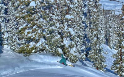 CBMR Shares Their Marketing Vision With Town Councils