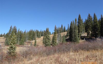 Sold ~ Parcel 32 Stratman Replat, Irwin