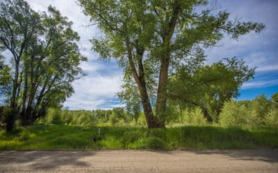 Sold ~ TBD Riverwalk Drive, Gunnison