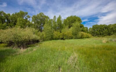 Sold ~ 235 Kokanee Court, Gunnison