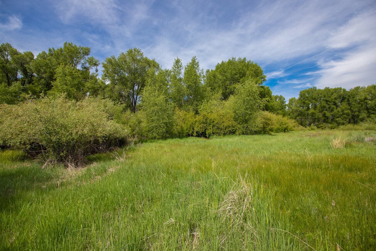 Sold ~ 235 Kokanee Court, Gunnison