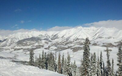 Real Estate Market Update February 2021