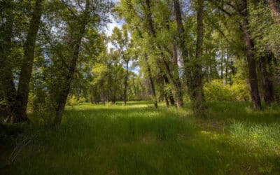 Sold ~ TBD Kokanee Drive, Gunnison