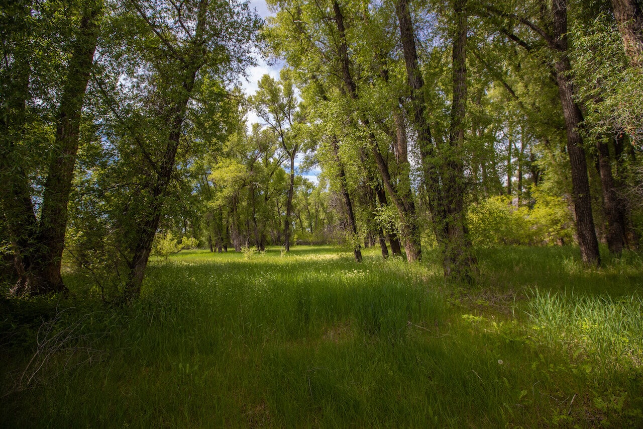 Sold ~ TBD Kokanee Drive, Gunnison