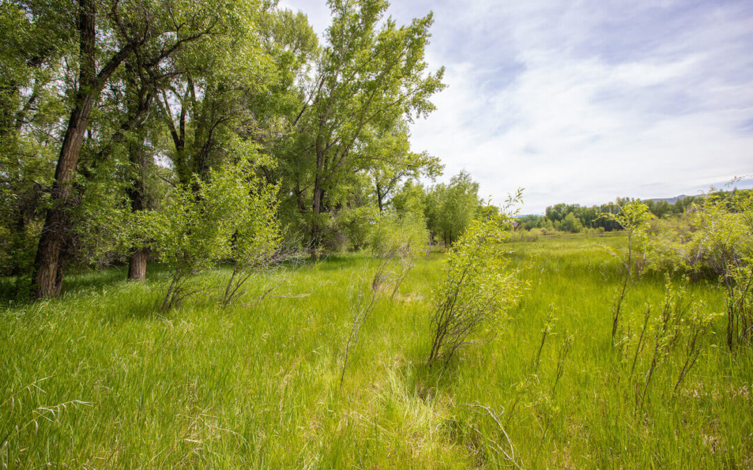 Sold ~ 117 Caddis Fly Lane, Gunnison