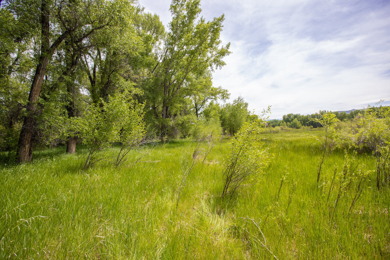 Sold ~ 117 Caddis Fly Lane, Gunnison