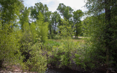 Under Contract ~ 261 Kokanee Court, Gunnison