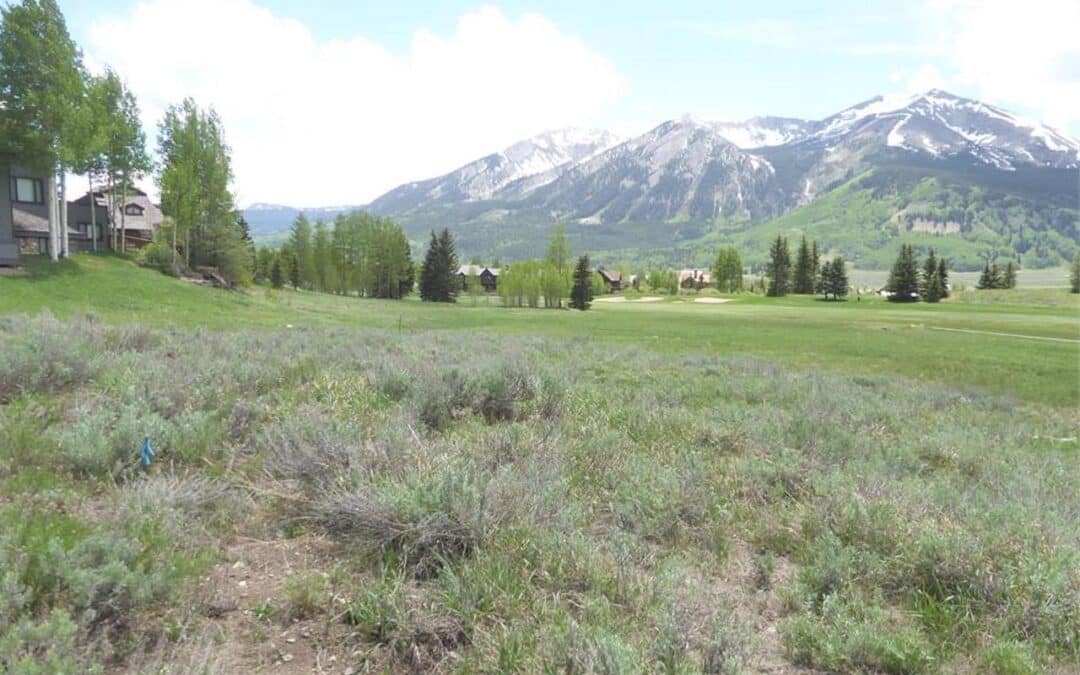 New Listing ~ 345 Skyland Drive, Crested Butte