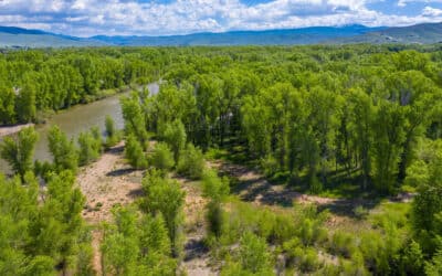 New Listing ~ 455 Riverwalk Drive, Gunnison