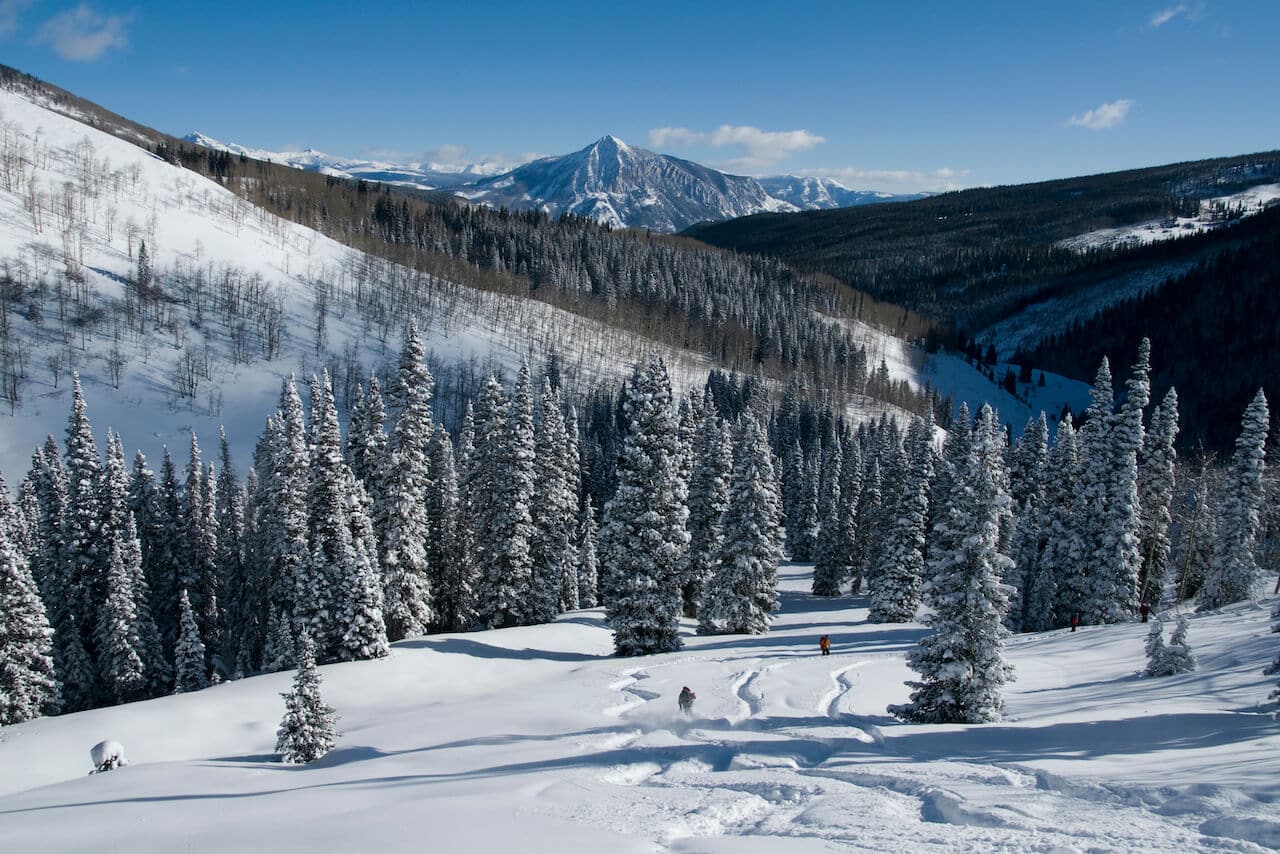 Real Estate Market Update ~ January 2023