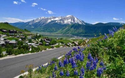 Under Contract ~ TBD Marcellina Lane