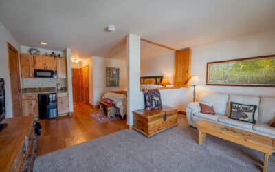 New Listing ~ 350 Country Club Drive, Unit 212A, Crested Butte