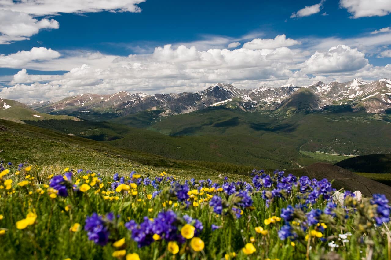 Real Estate Market Update May 2021