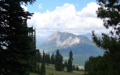 New Listing ~ 665 Red Mountain Ranch Road, Crested Butte