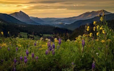 Crested Butte Collection Newsletter | May 2026