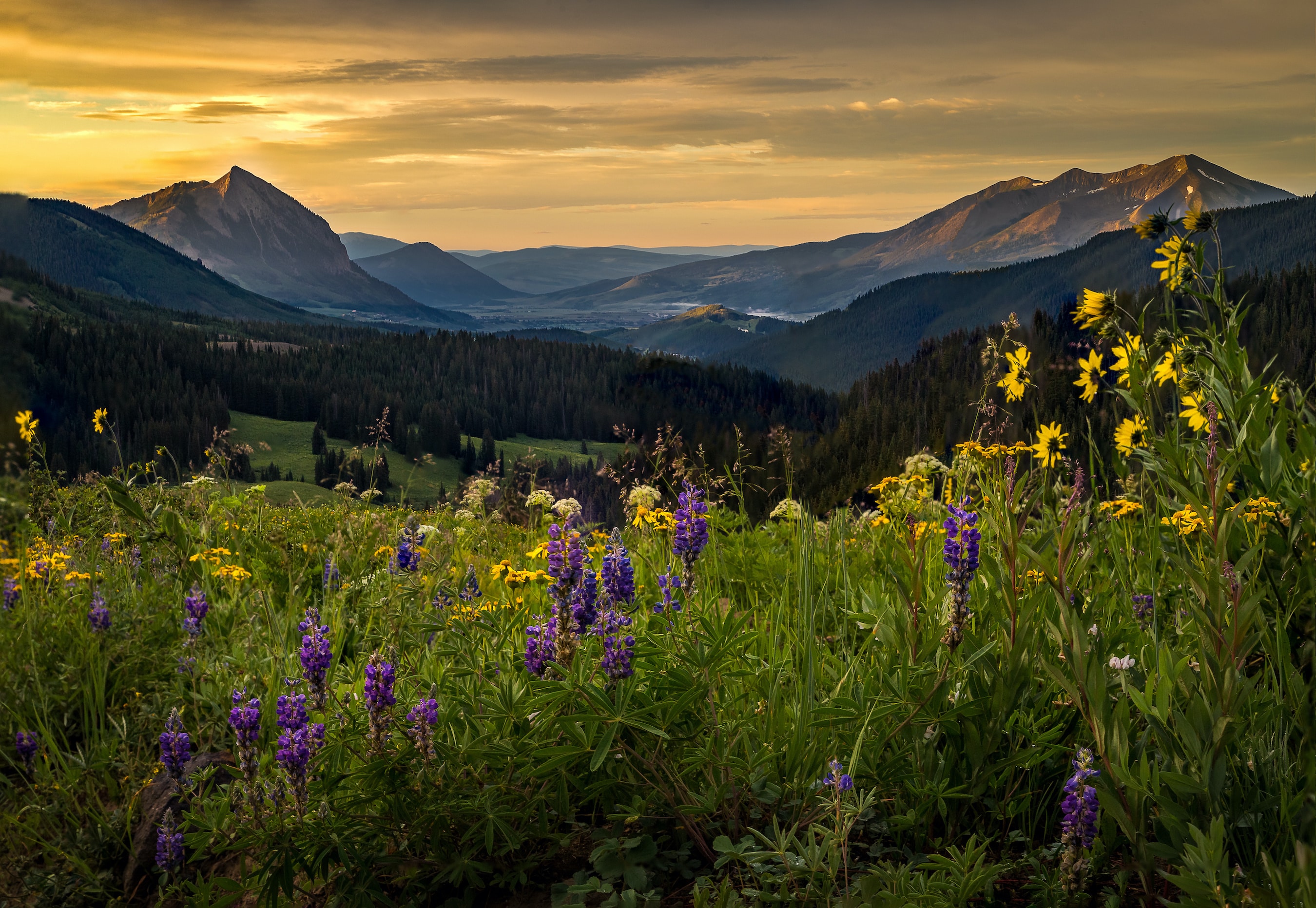 Crested Butte Collection Newsletter | May 2026