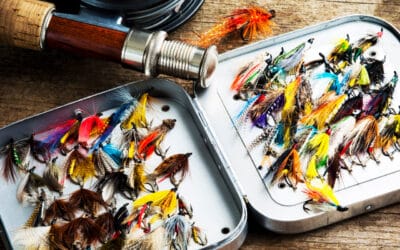 Crested Butte Events ~ May 2021