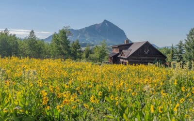 New Listing ~ 449 Meridian Lake Drive, Crested Butte