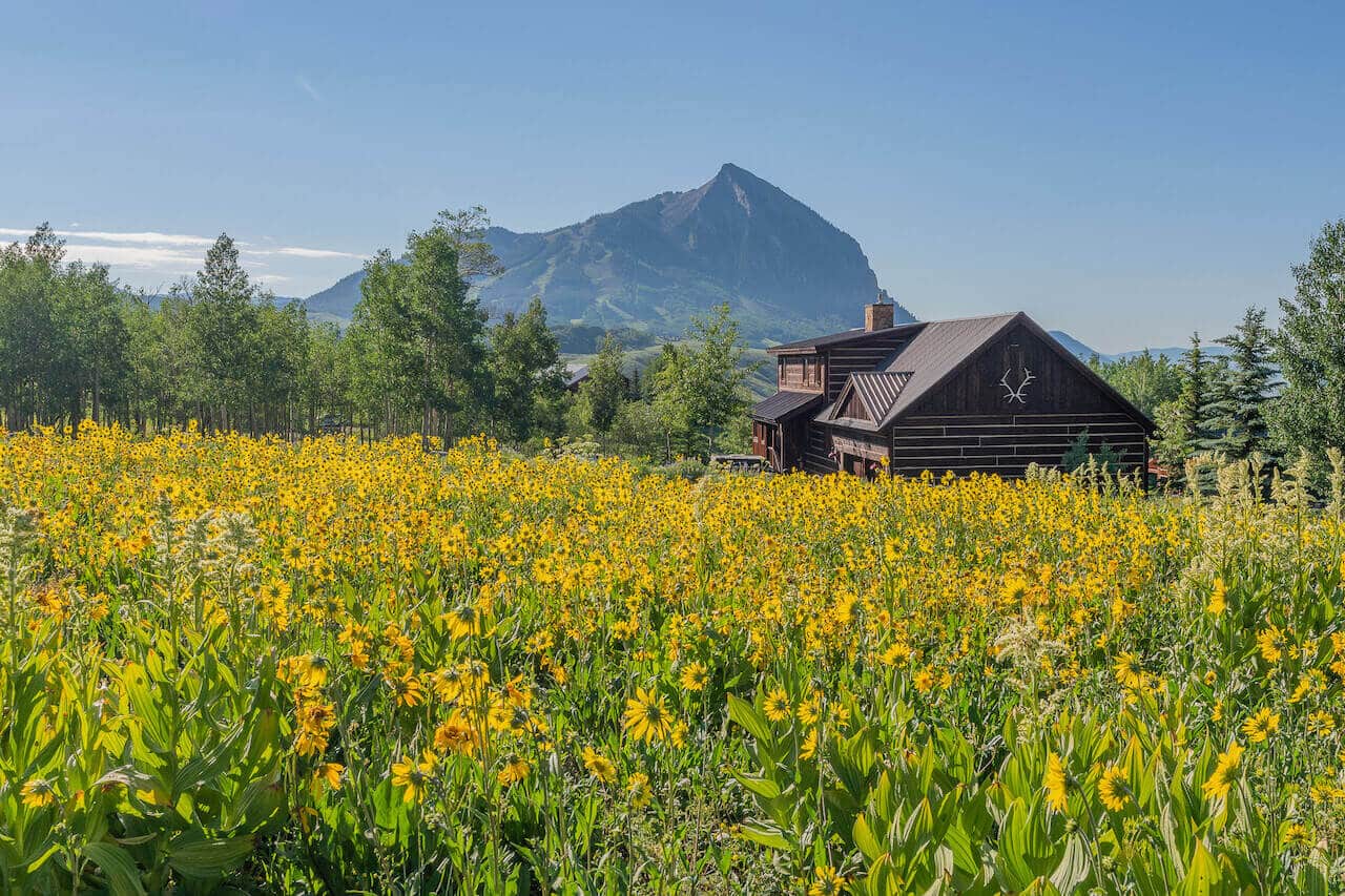 New Listing ~ 449 Meridian Lake Drive, Crested Butte