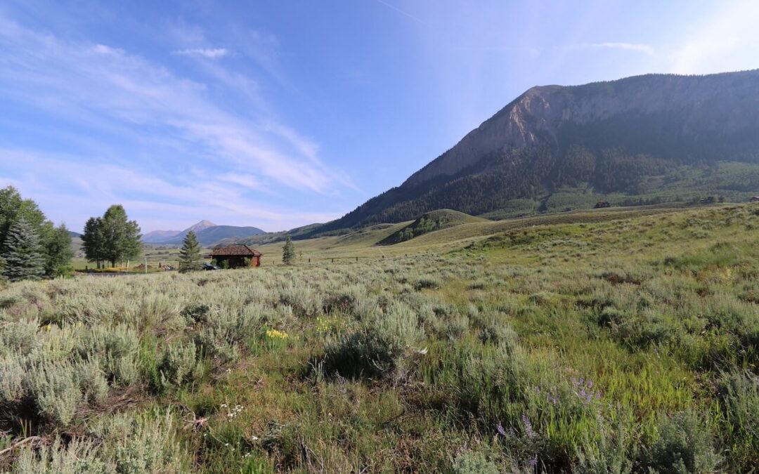 New Listing ~ 172 E Silver Sage Drive, Crested Butte