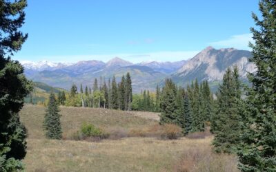 Under Contract ~ 665 Red Mountain Ranch Road, Crested Butte