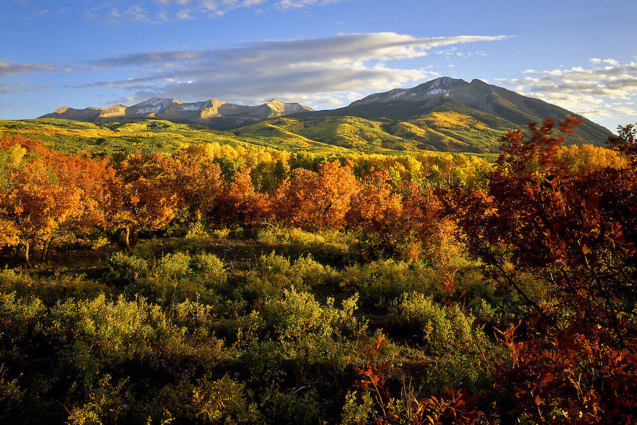 Real Estate Market Update ~ September 2022