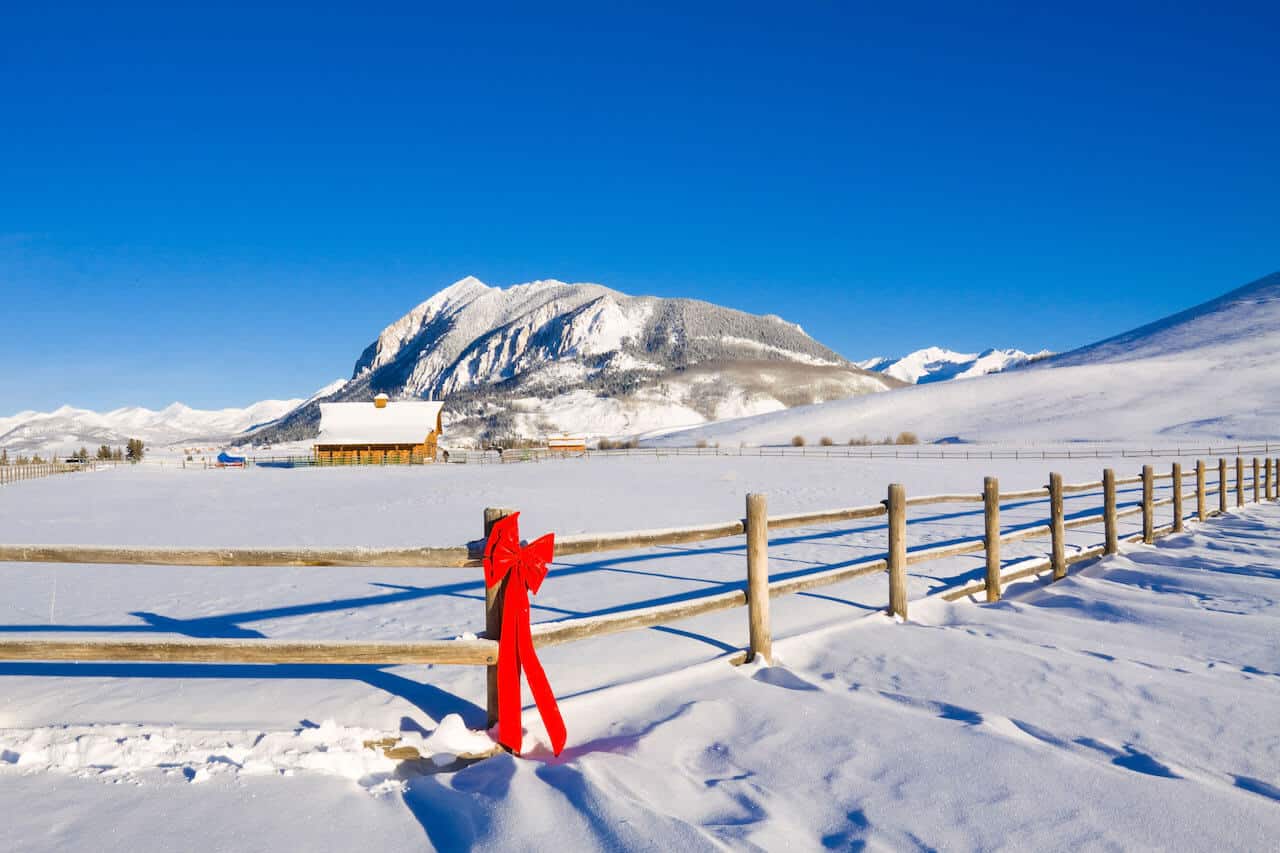 Real Estate Market Update ~ December 2021