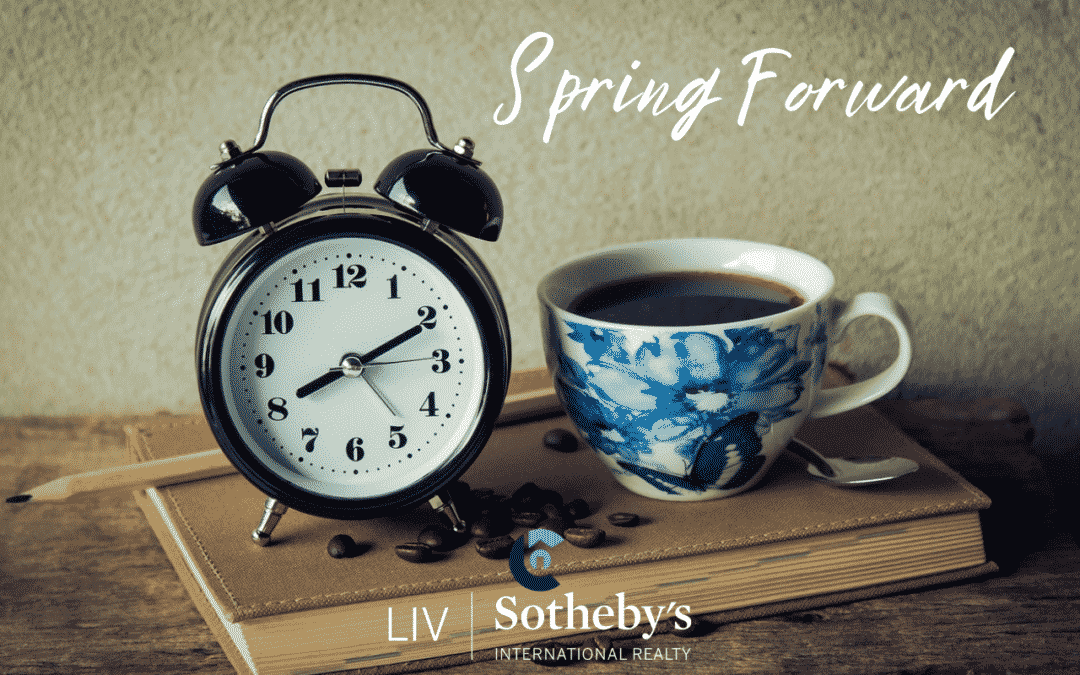 Daylight Savings Time Is Here ~ Time to Spring Forward