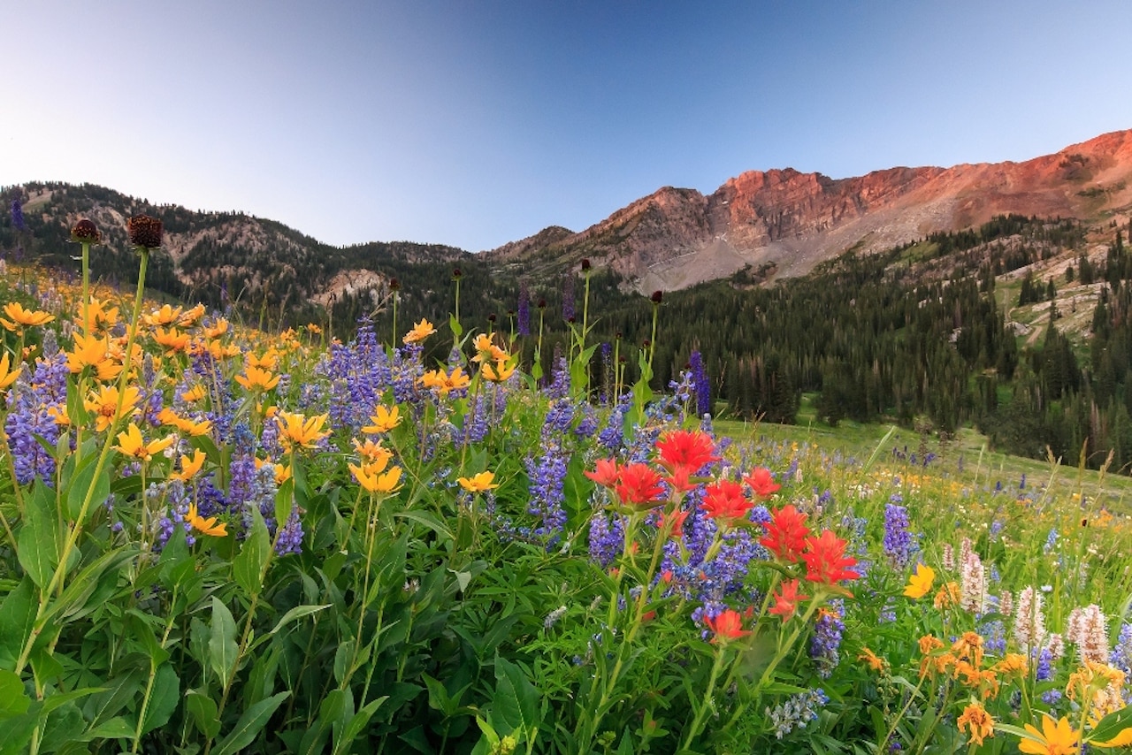 Real Estate Market Update ~ July 2022