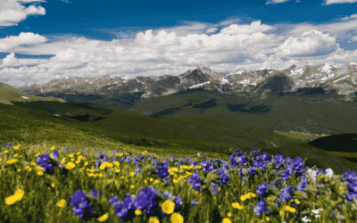 Resort Summer 2022 Opening Days