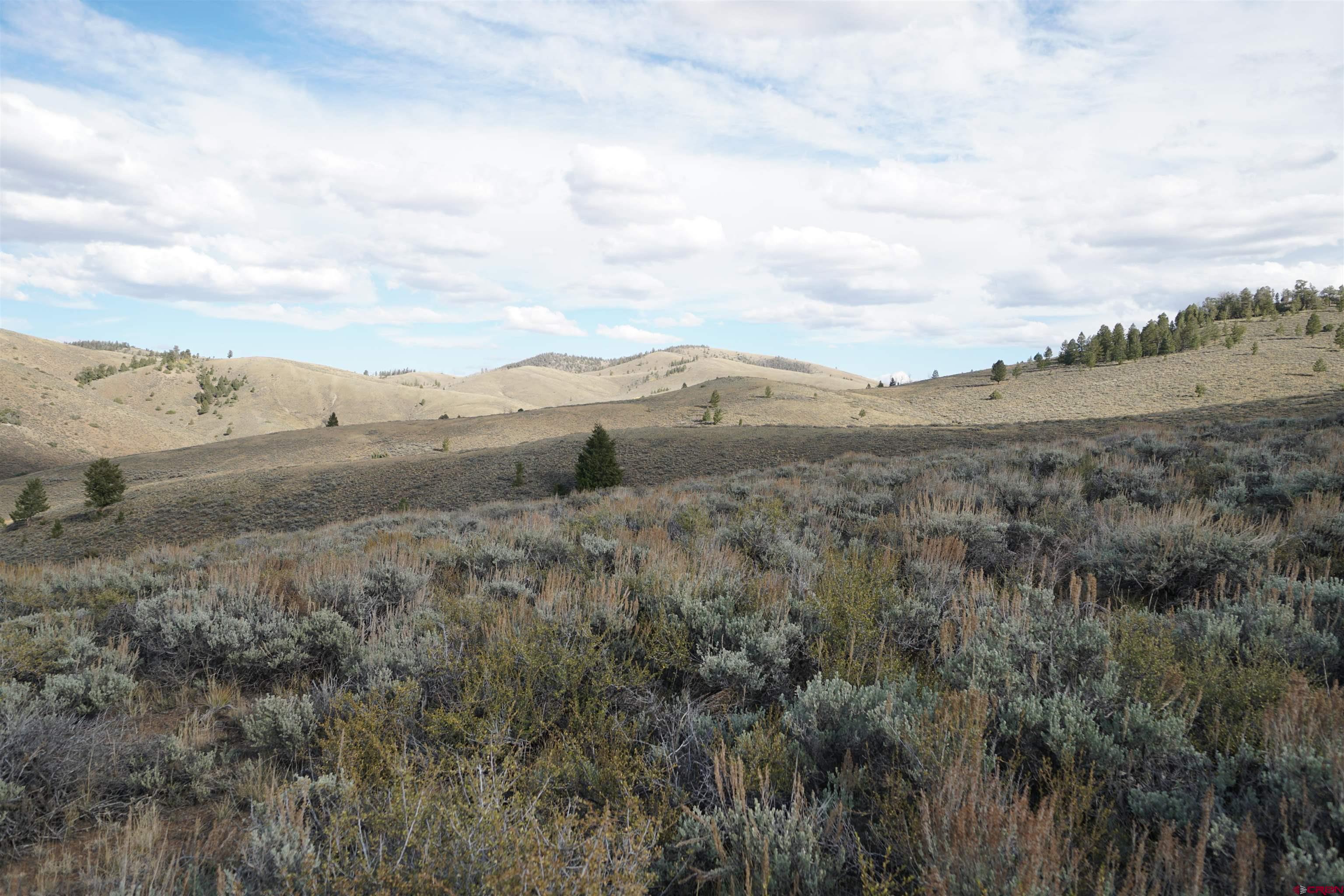 New Listing ~ 18 Saint Andrews Circle, Unit 18, Crested Butte