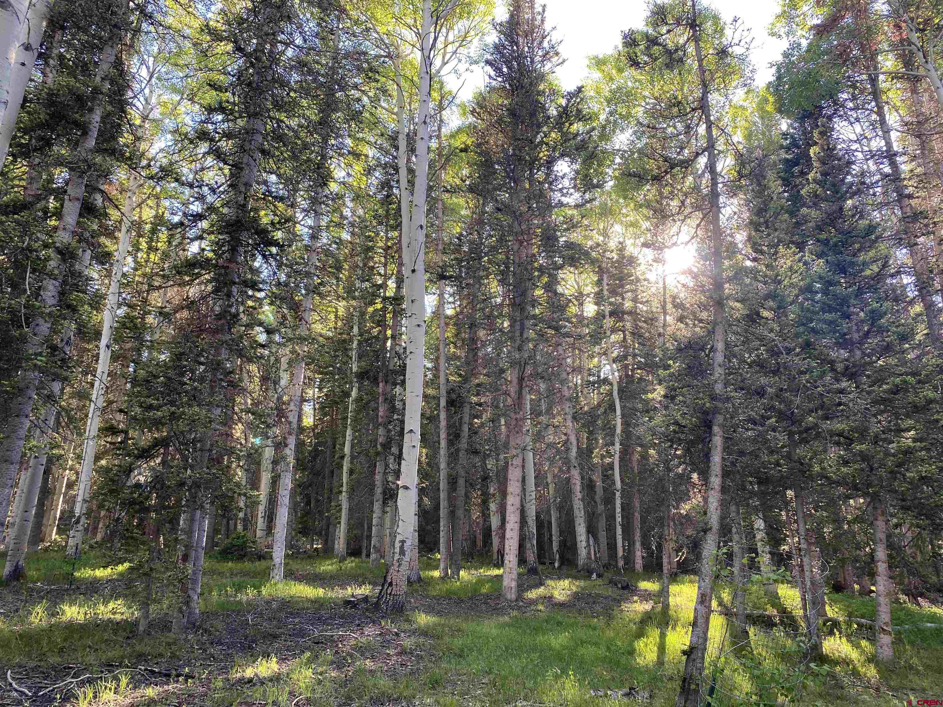 Just Listed | The Plaza at Wood Creek Unit 236