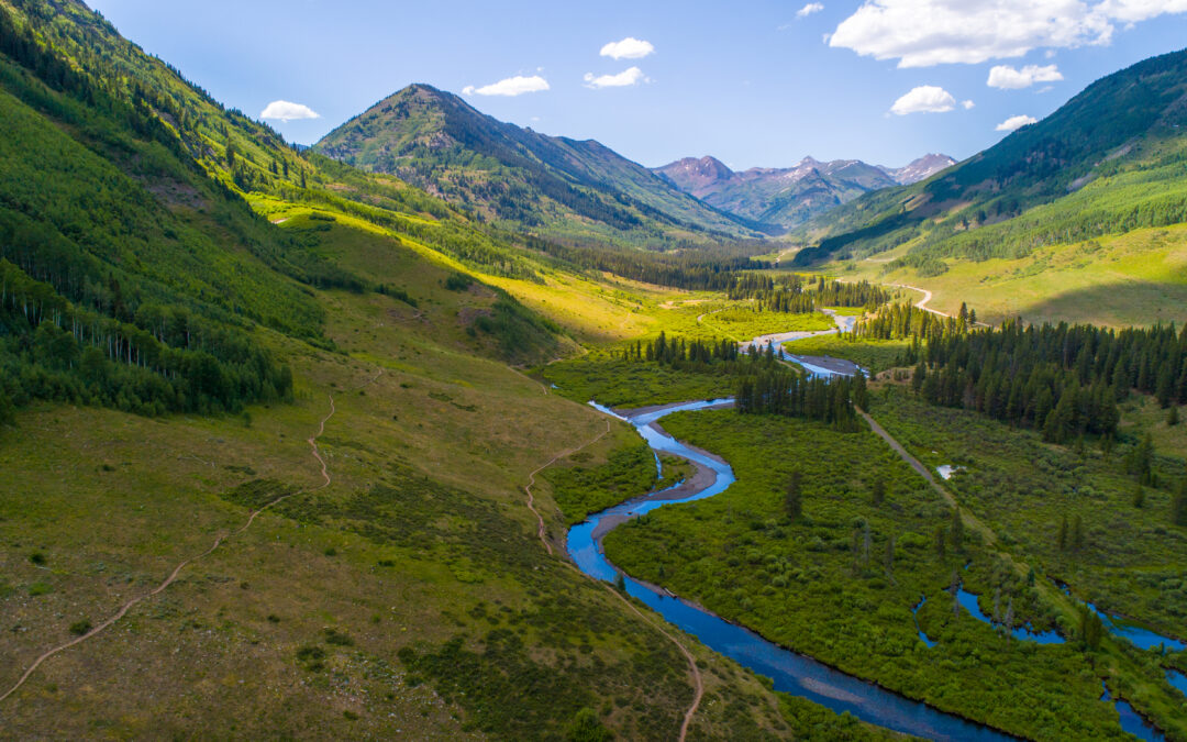 May 2024 Newsletter | Crested Butte Collection