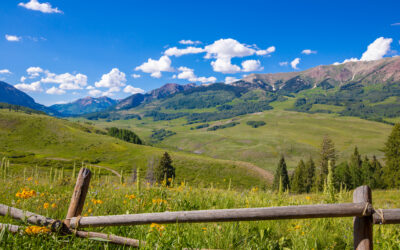 June 2025 Newsletter