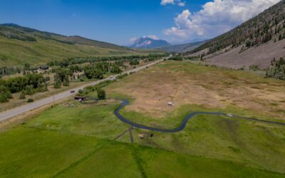 Quarterly Market Report | Q3 2025