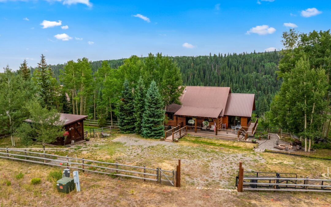 Just Listed: A renovated log retreat in Wilderness Streams