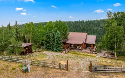 Just Listed: A renovated log retreat in Wilderness Streams