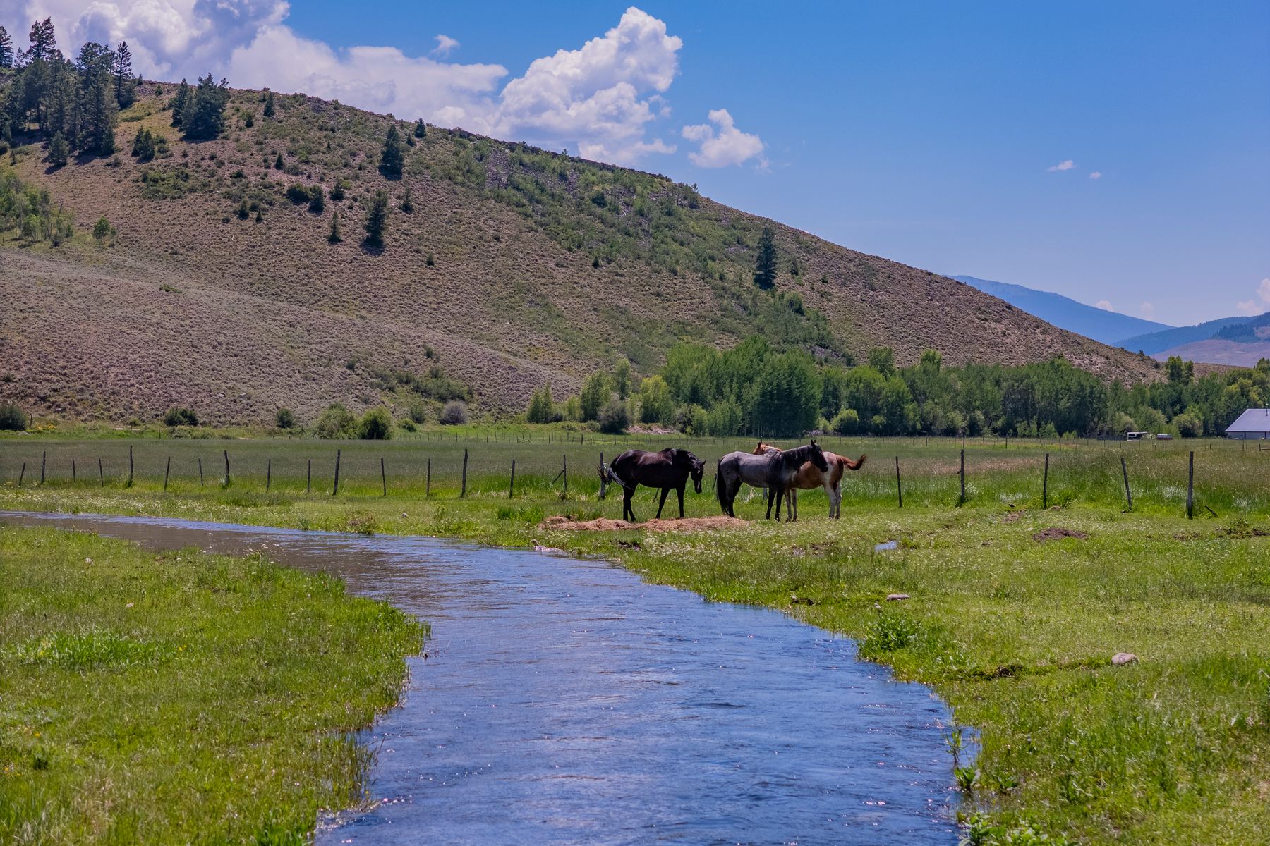 TBD State Highway 135, Almont, CO | Listed by Kiley Flint