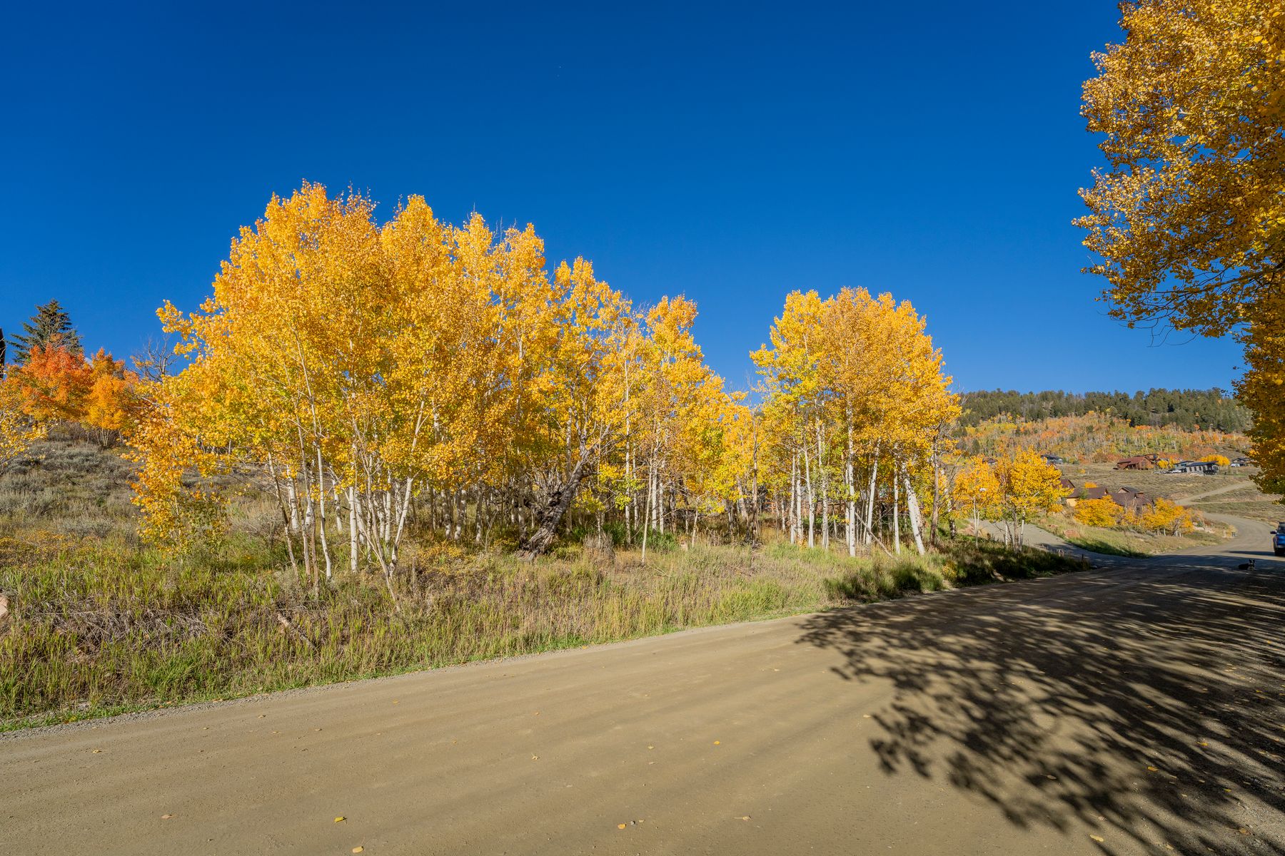684 Zeligman Street, Crested Butte | Listed by Kiley Flint