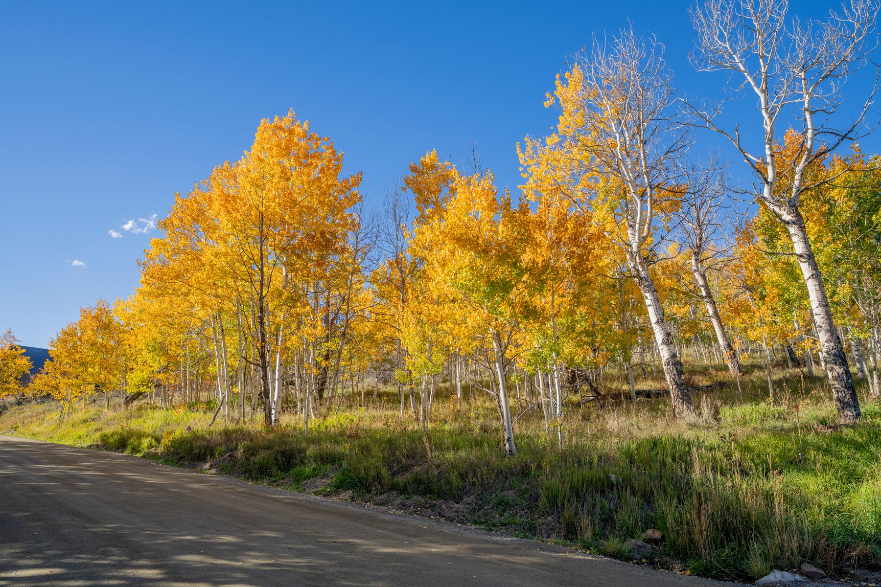 684 Zeligman Street, Crested Butte | Listed by Kiley Flint