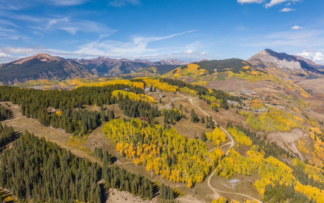 23 Gray Fox Lane, Mt. Crested Butte | Listed by Kiley Flint and Jaima Giles-Alsum