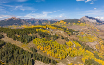 November 2025 Newsletter