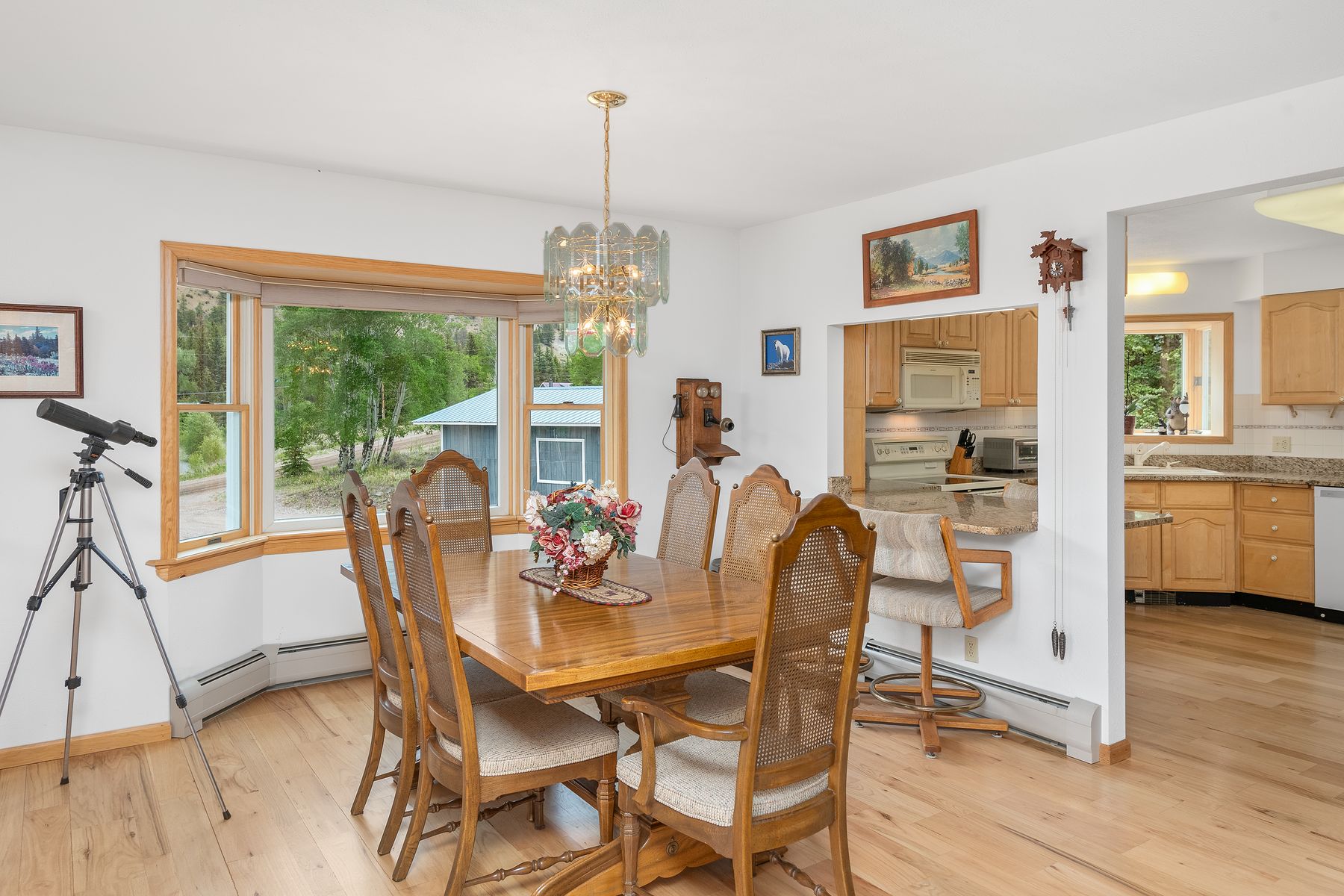 2079 Hummingbird Lane, Lake City, CO