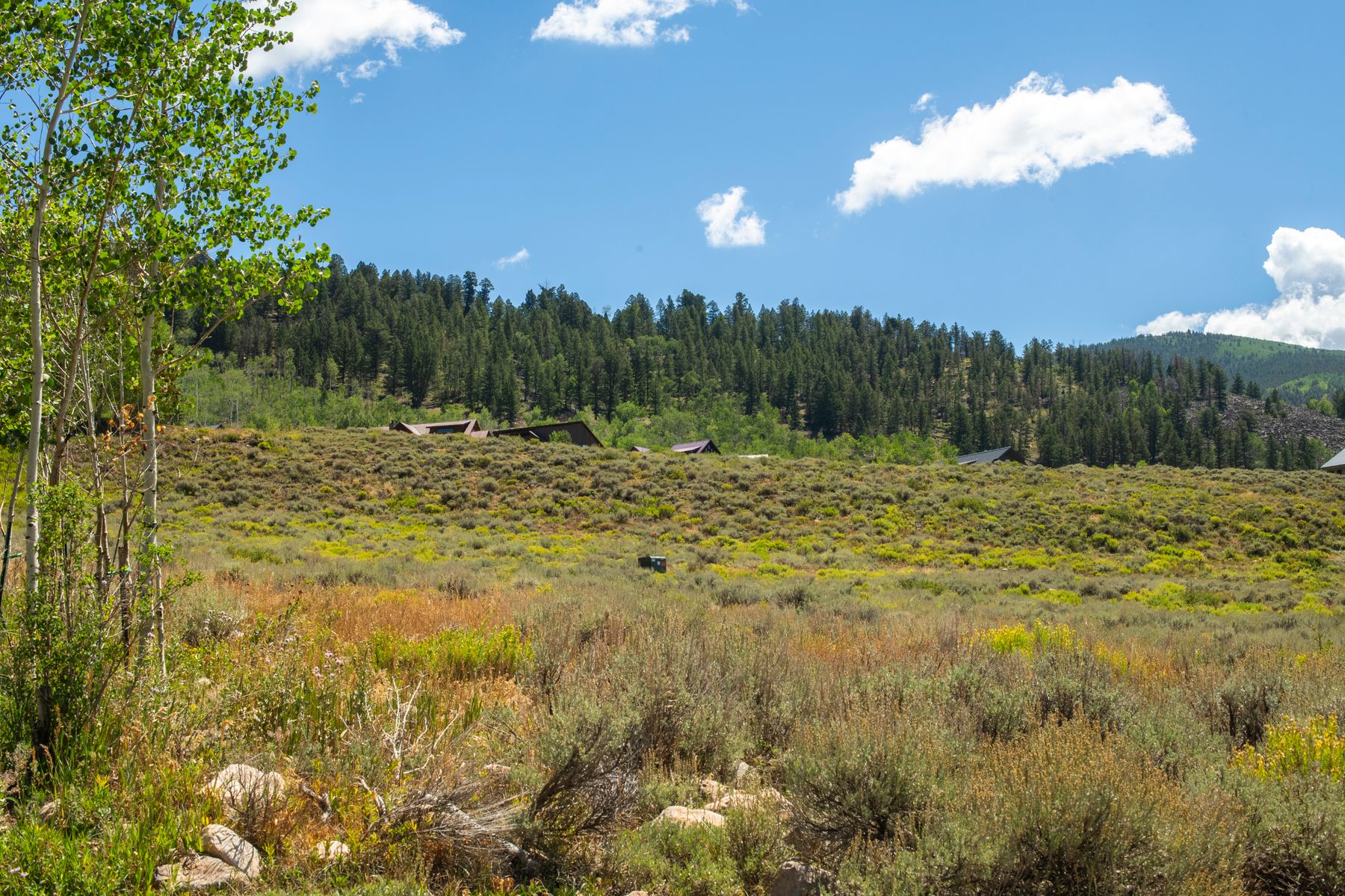 387 Zeligman Street, Crested Butte